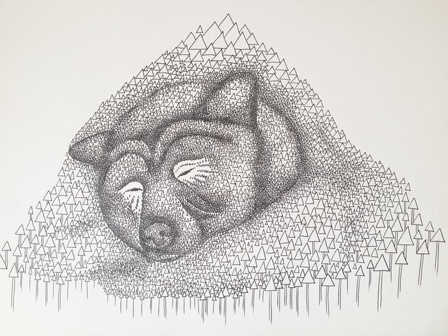 Sleeping bear illustration