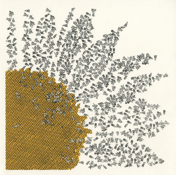 Sunflower screenprint