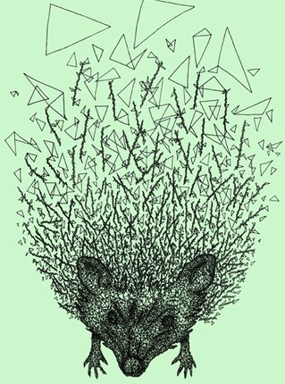 Thorny hedgehog illustration