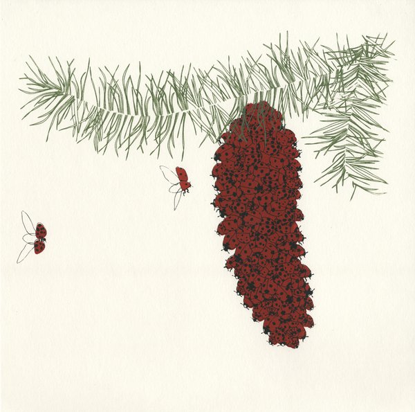 Pine cone screenprint