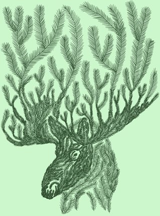 Moose illustration