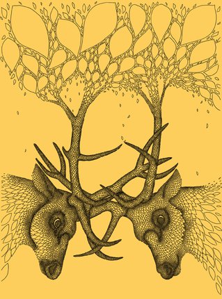 Deer illustration